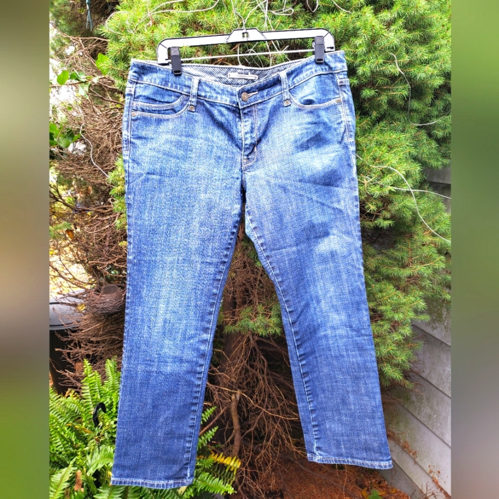 GAP 1969 limited Edition Jeans medium wash  Size 12